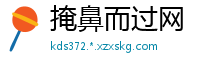 掩鼻而过网